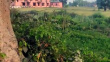 90 साल पुराना।।