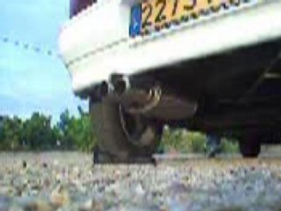 echappement clio1 1.1L