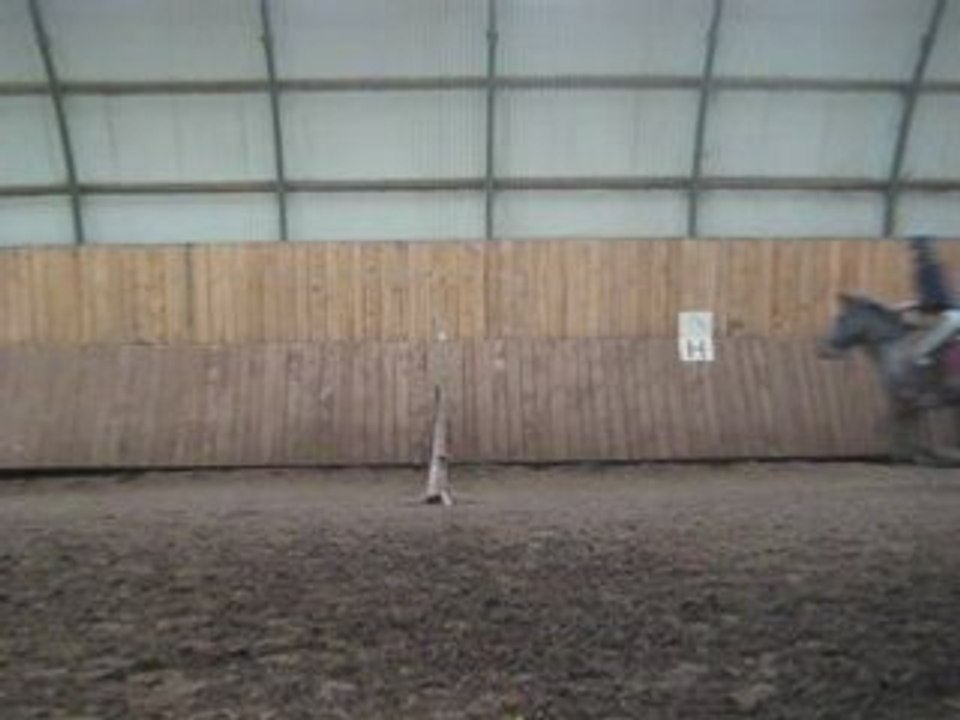 Dusty1.10m