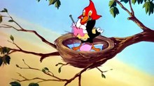 Tom And Jerry - 041 - Hatch Up Your Troubles (1949)