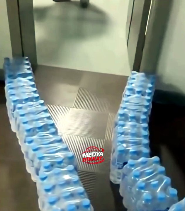 Botellas - Ratas