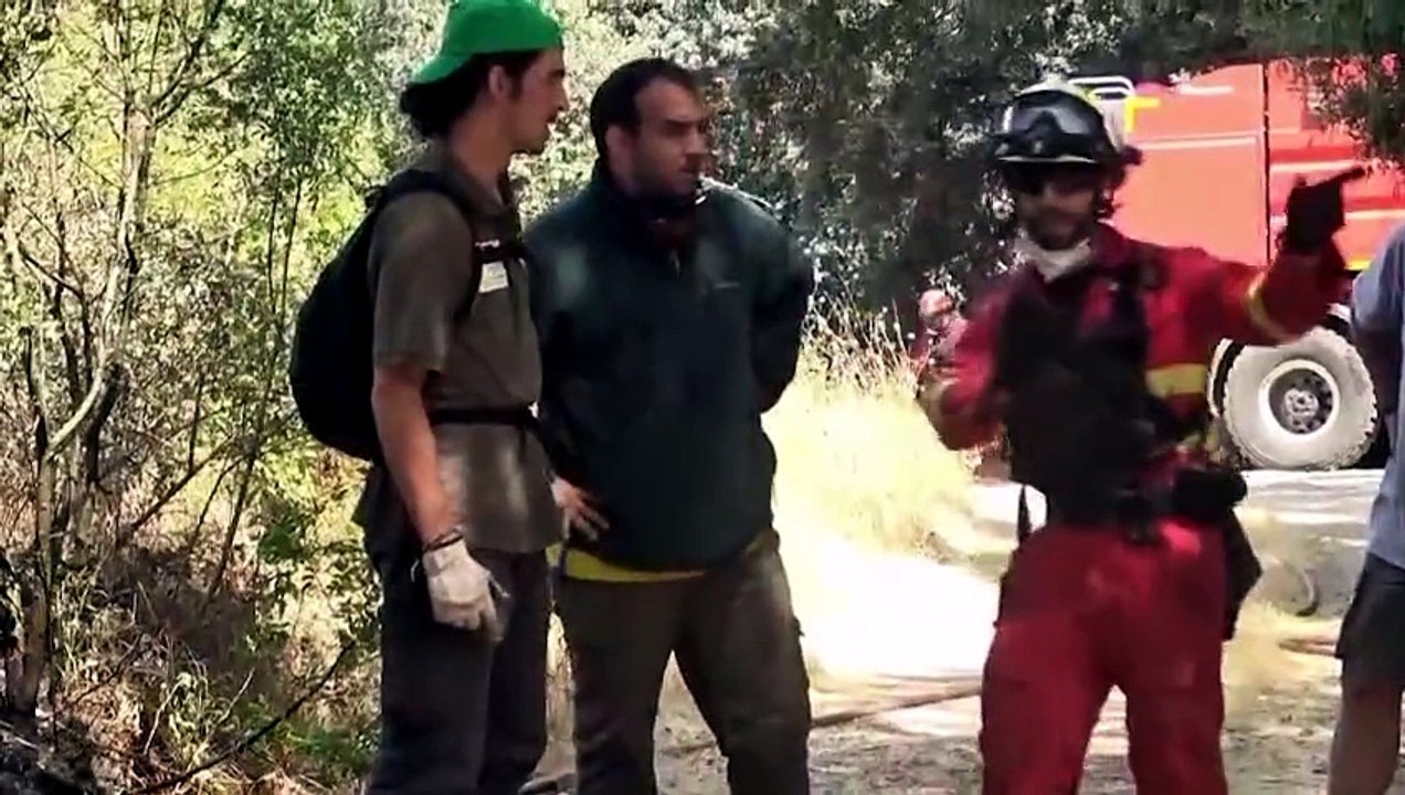 Interior amplía la emergencia nacional a Toledo por el avance de los fuegos en Madrid y Ávila