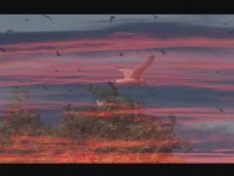 Minnesota's North Shore Movie Trailer