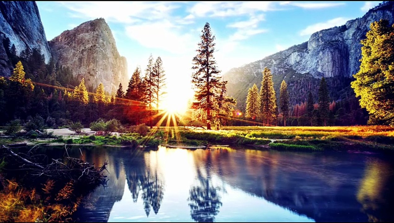Relaxing Harmony for Stress-Free Living (1 Hour)