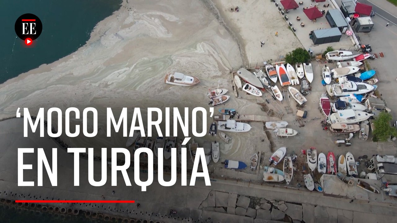 ¿Qué es el "moco marino" que se expande por el Mar de Mármara en Turquía?