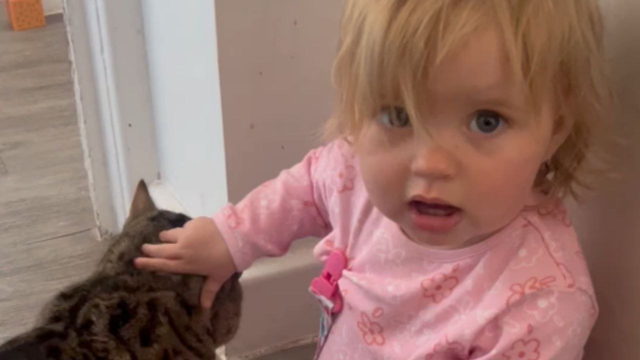 Toddler's Playfulness Leads to Cat's Unexpected Bite