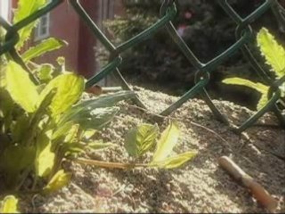 Les mégots et les gommes, c'est assez! Mention spéciale