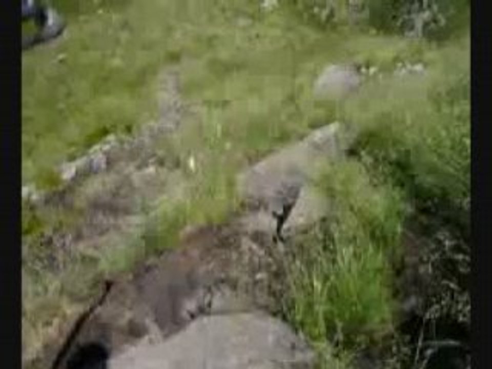 Nikoverdosedechutes
