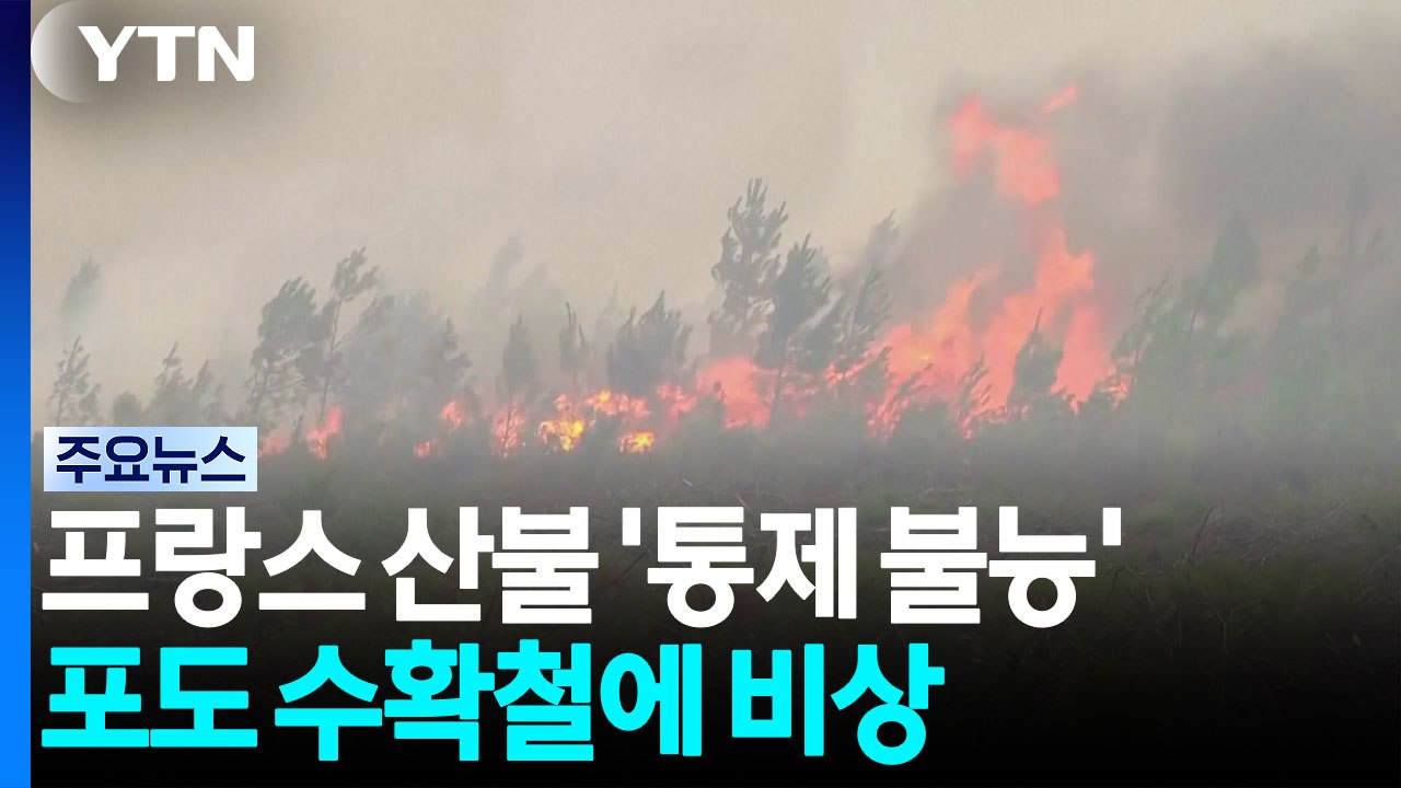 프랑스 산불 '통제 불능'...포도 수확철 맞은 보르도 비상 / YTN