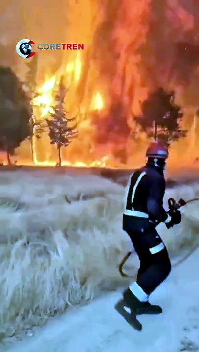 Spain has declared a national emergency as massive wildfires spread across Madrid and Ávila.