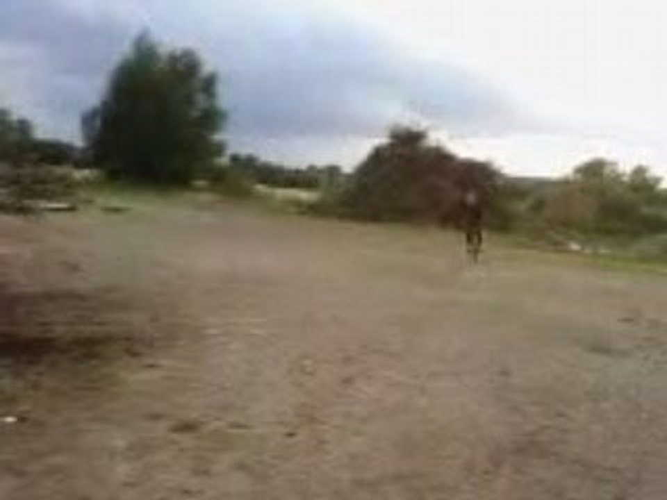 Vidéo0074