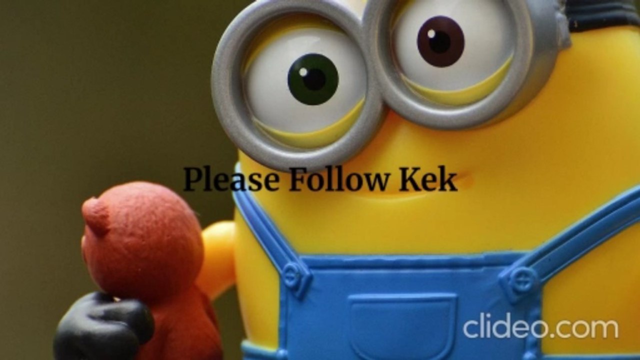 Kek Does Not Care About Followers! (OG & Edited)