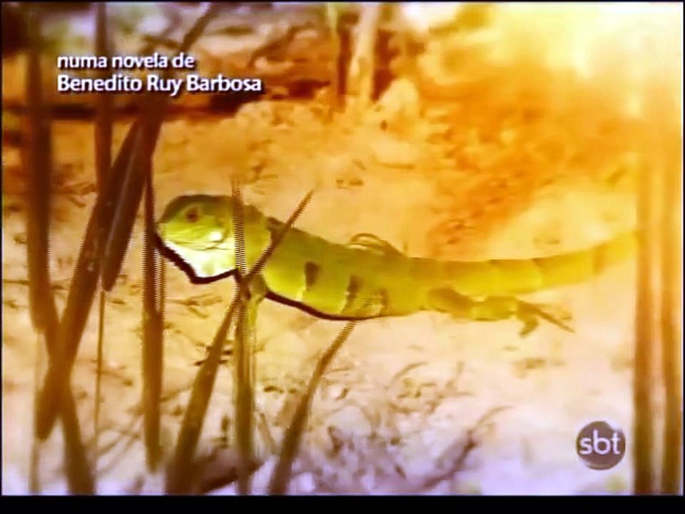 Pantanal - Capítulo 21
