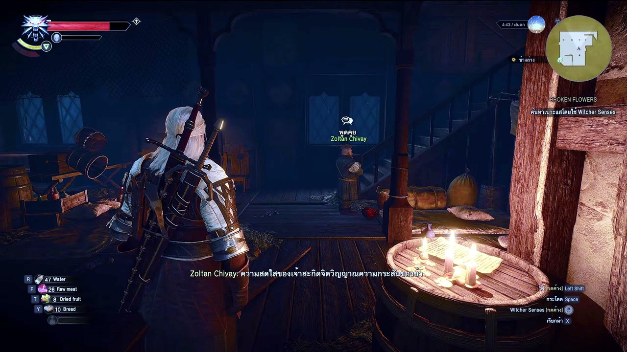 THE WITCHER 3 GAMEPLAY PART 45
