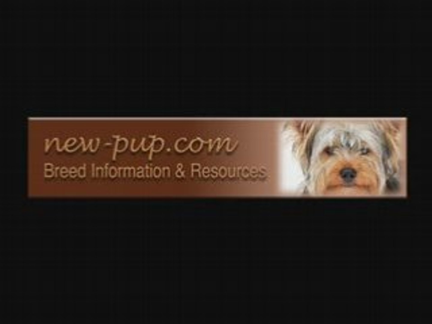 ⁣Dog Breeds, Dog Training, Funny Dogs & Dog Pictures