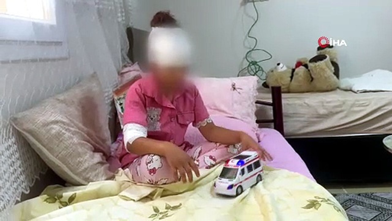 Başıboş Köpekler Dehşet Saçtı