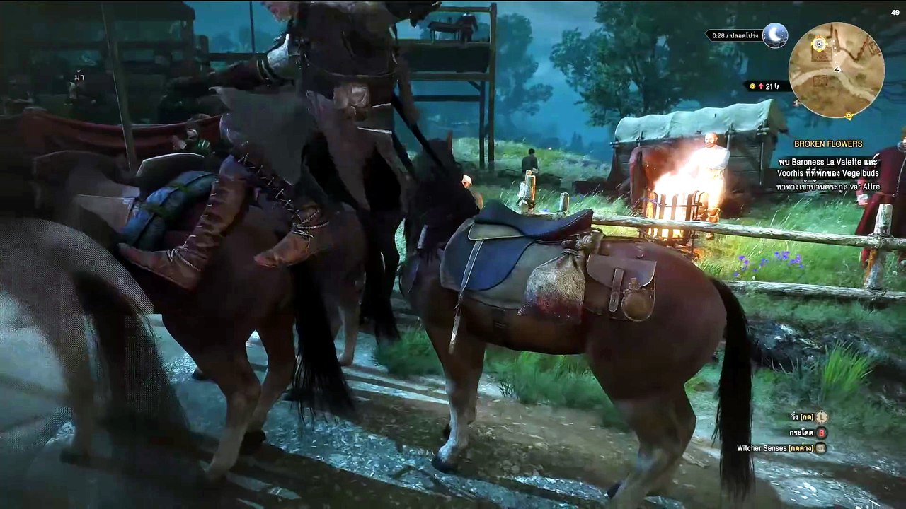 THE WITCHER 3 GAMEPLAY PART 46