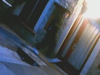 S.P.I.N.O. #33 Mustang tekstyle