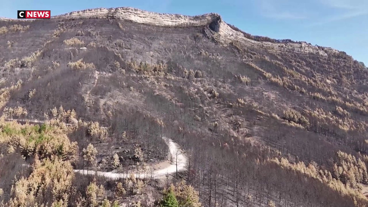 Incendies : l'Office national des forêts inspecte les dégâts