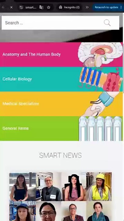 Create Professional Medical Diagrams in Minutes (100% FREE!) 🧬