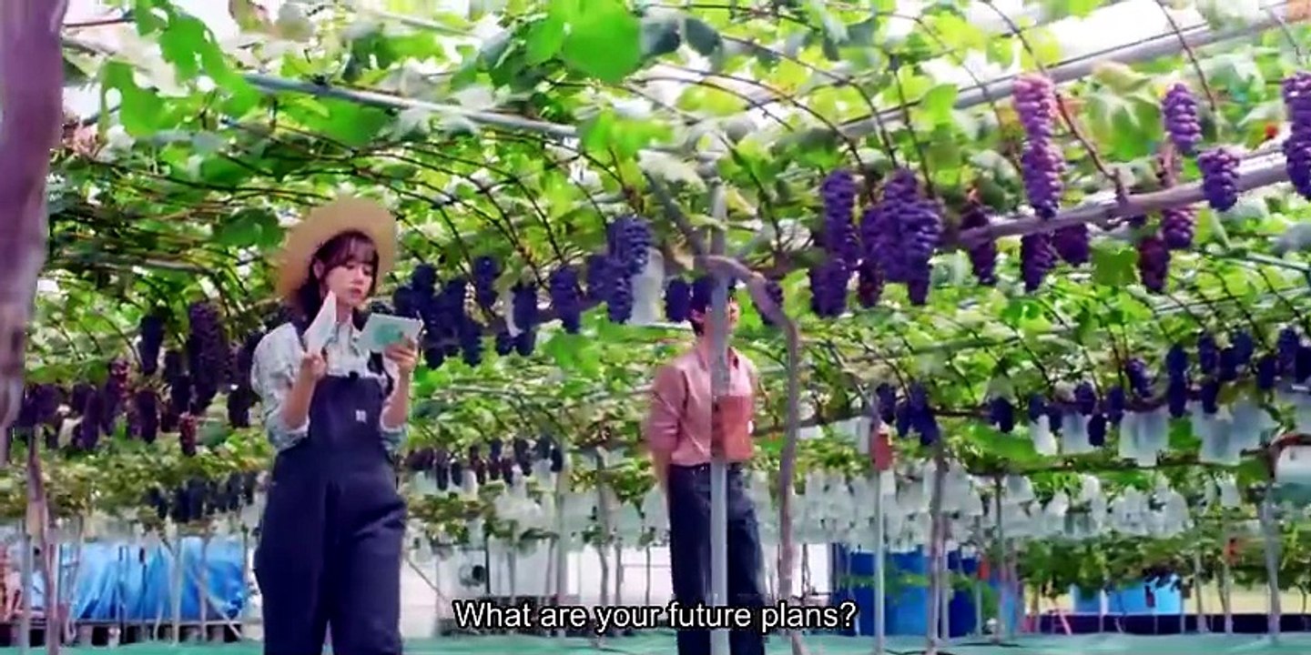 English Sub 💎 D.R.E.A.M T.O Y.O.U (2026) - Episode 2 ✨   Asian Series EN SUB [Full Movie]
