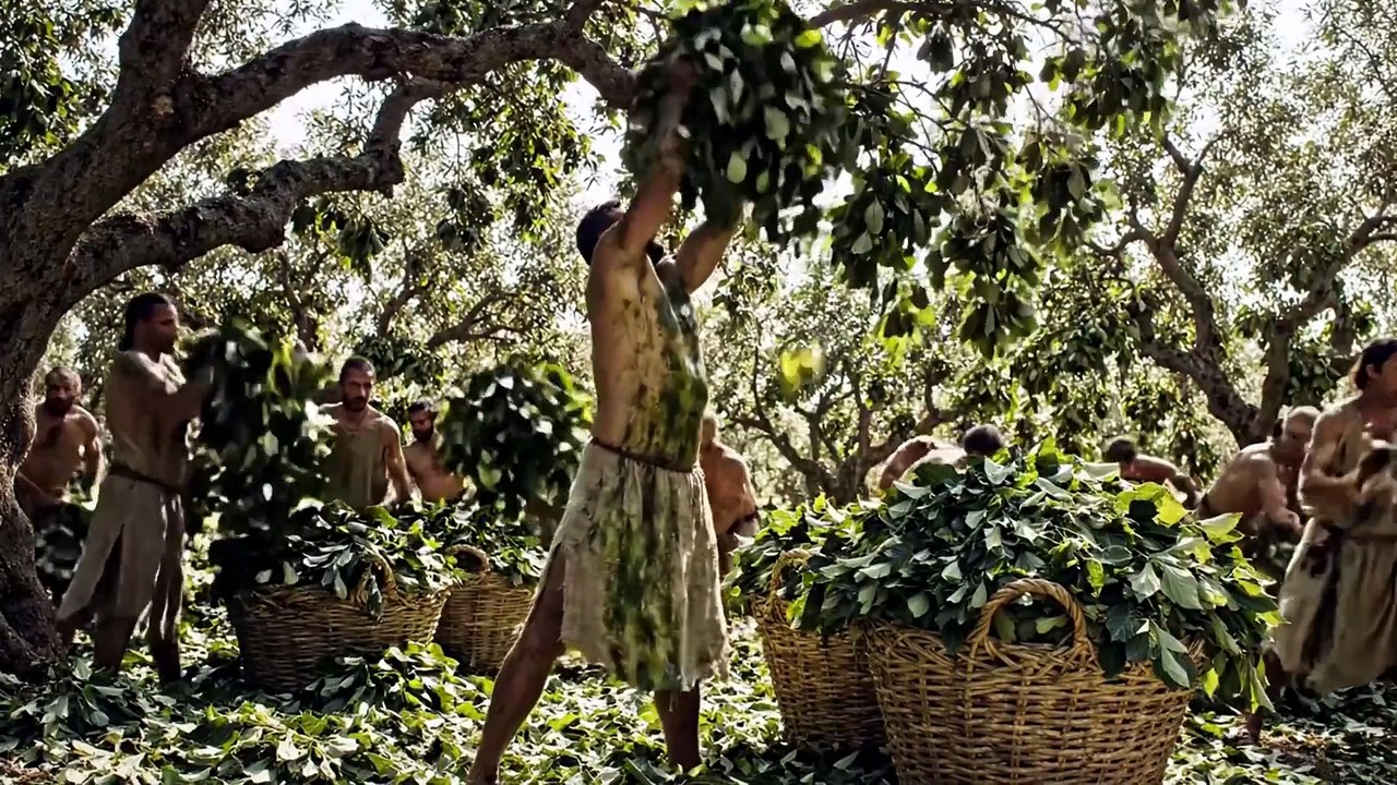 The History of Silk | The Luxury Thread That Connected the World 🧵🌍