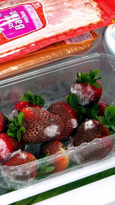 Stop Wasting Food & Money! Easy Preservation Tips