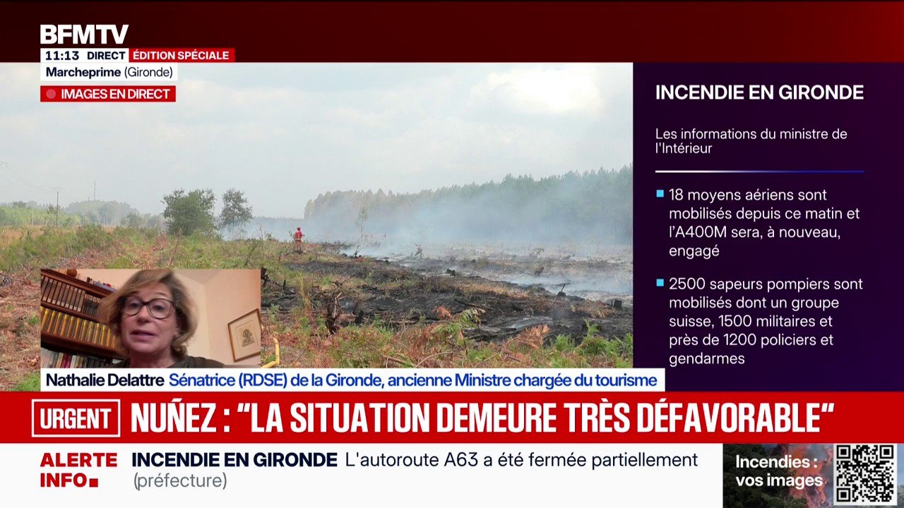 Incendie en Gironde: "Nous avons un feu hors normes", affirme Nathalie Delattre, sénatrice de la Gironde