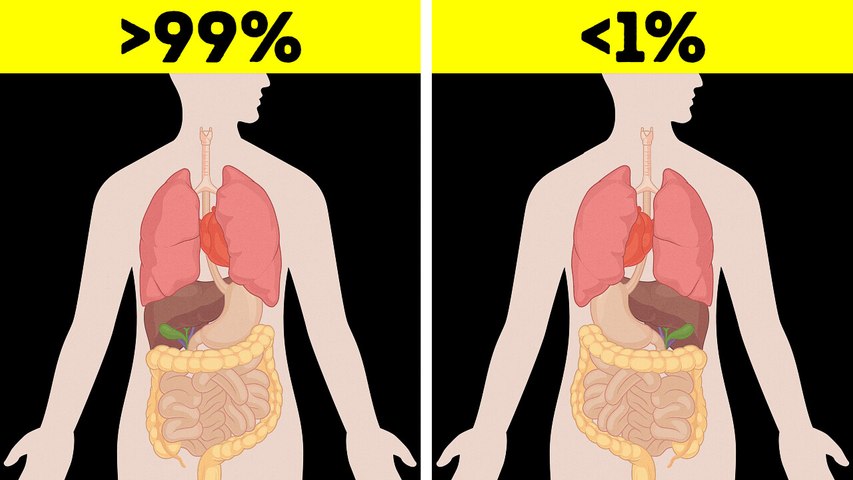 Body Facts That Will Change How You See Yourself