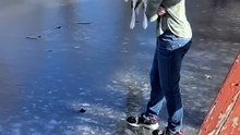 Funny Dogs Doing the Funniest Things Ever! | Cute & Hilarious Dog Compilation 2026