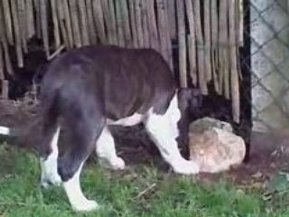 betise du soir