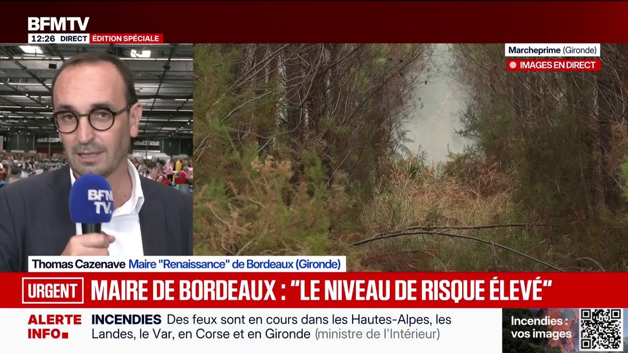 Roland Lescure a "accepté" l'ouverture de la cellule de crise économique, annonce le maire de Bordeaux