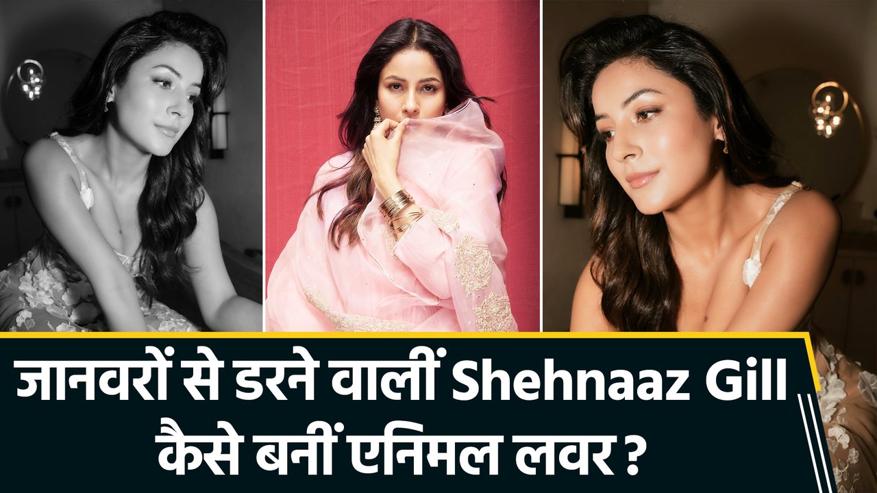 Shehnaaz Gill ने हासिल की अपने सबसे बड़े डर पर जीत, 'इश्कनामा' रही वजह!