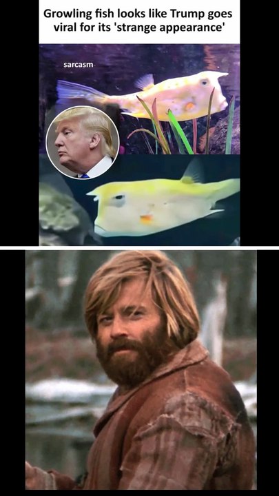 This Fish Looks WAY Too Familiar... 😂🐟