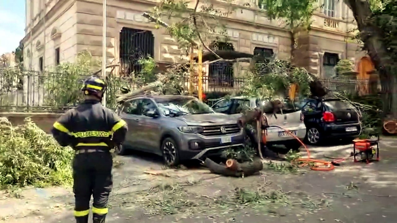 Paura a Sassari, il ramo di un albero crolla sulla strada: tre auto danneggiate - IL VIDEO