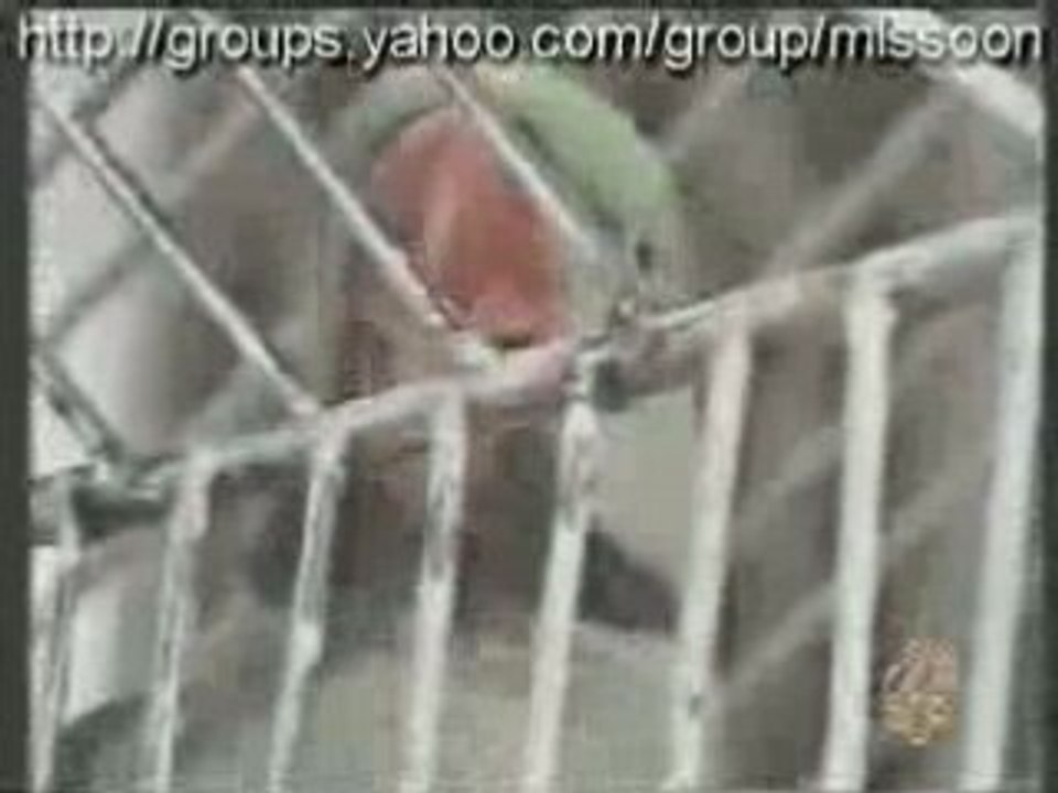 Un peroquet qui récite le Coran