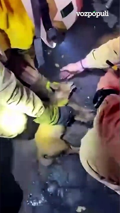 Así fue el angustioso rescate de un perro atrapado en una casa rodeada por el fuego