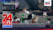 Usapang Pets – Responsible care for strays, isinusulong ng cat communities  | 24 Oras Weekend