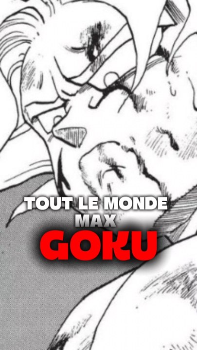 Goku Dragon ball panel