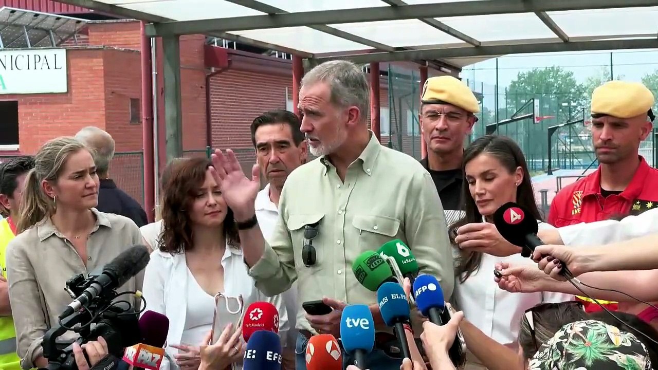 El rey alaba la "ejemplar" coordinación y lamenta la pérdida de patrimonio natural