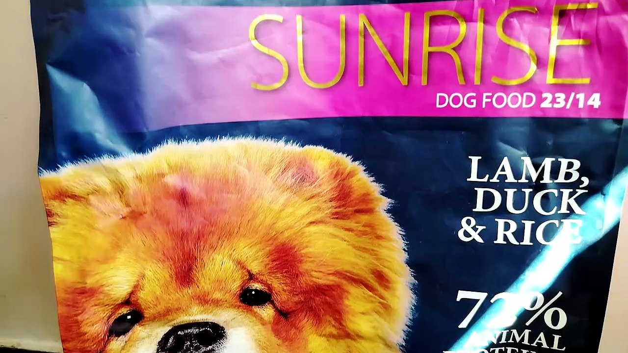 Avrupa'da köpekler Türkiye'de emekliler