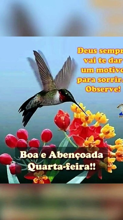 Palavra de Deus, Palavra do dia para hoje