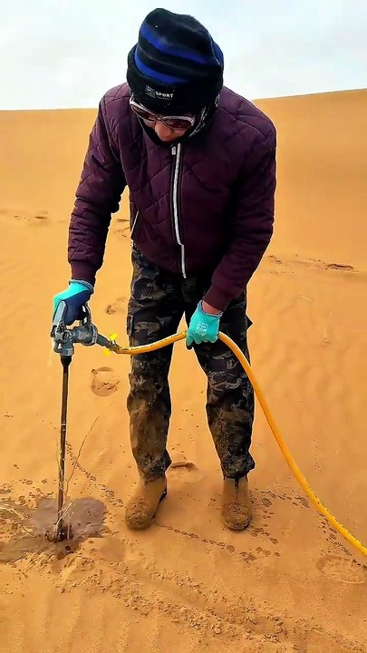 They Planted BILLIONS of Trees to Stop a Desert...