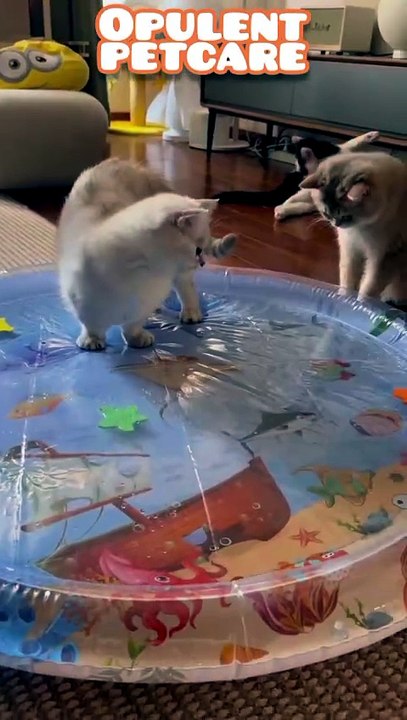 Summer Cooling Pet Water Bed – Inflatable Splash Pad Mat for Dogs & Cats, Ocean Design