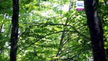 Olimp wpisany na listę UNESCO. Mityczna góra staje się dziedzictwem całej ludzkości