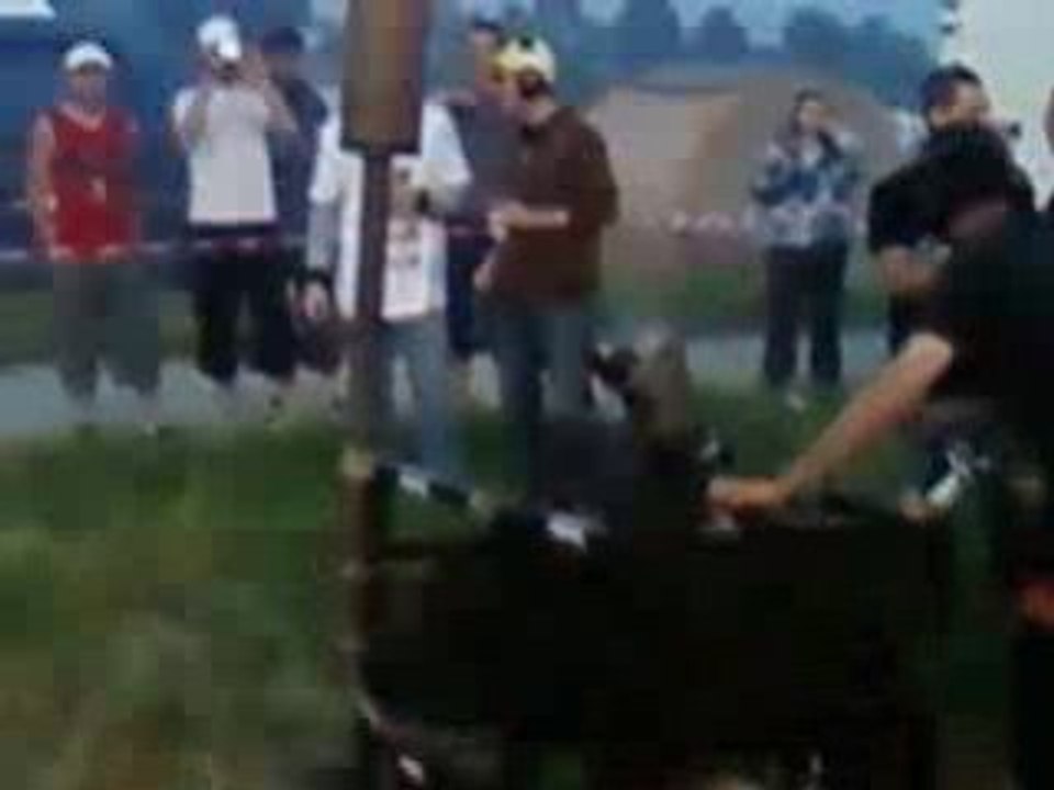 Video004.3gp