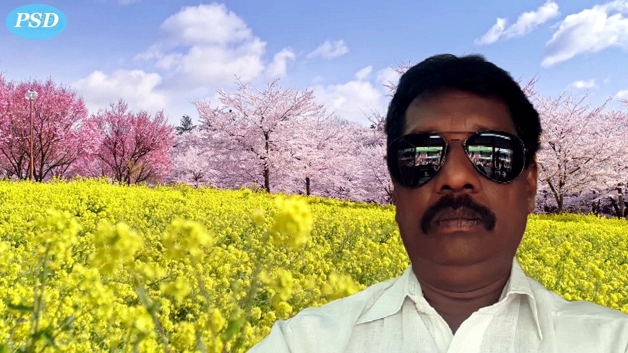 Aaho Andala Rasi