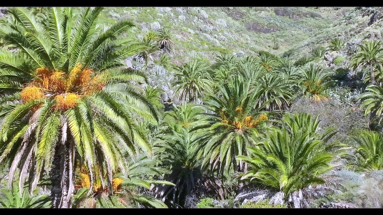 Anaga, Naturaleza Infinita (2024)
