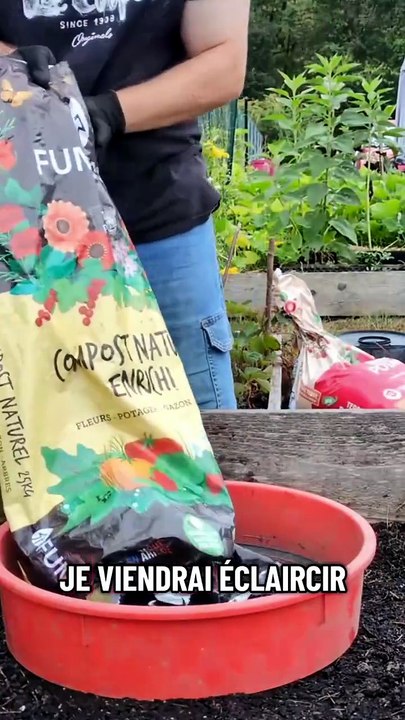 Tu veux réussir tes semis de carottes du premier coup ? 🥕 Je te montre ma méthode pas-à-pas pour pr