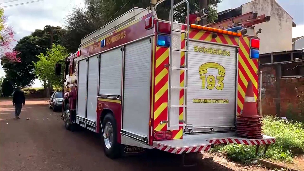 Bombeiros resgatam gato preso em telhado de residência no Sanga Funda